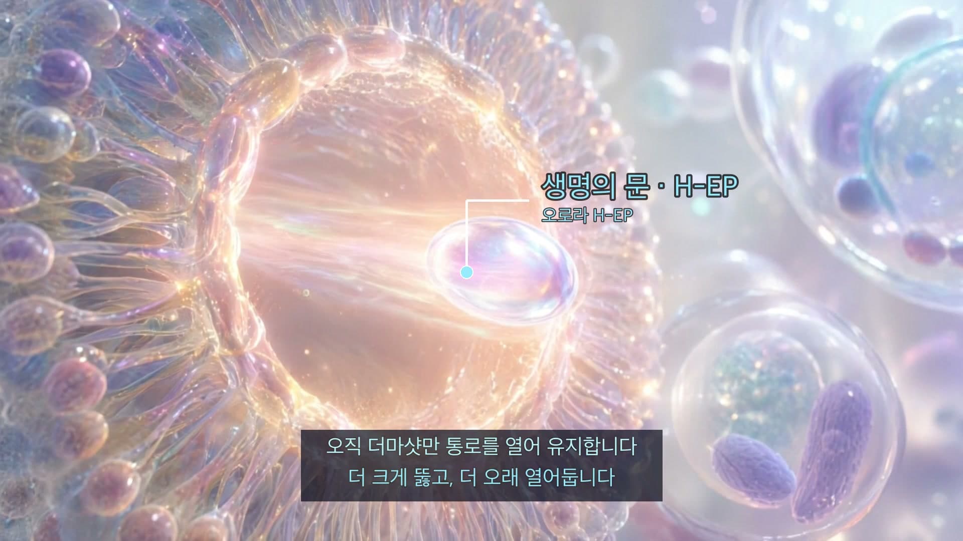 H-EP로 통로가 열린 채 유지되며 성분이 세포 안으로 들어가는 모습